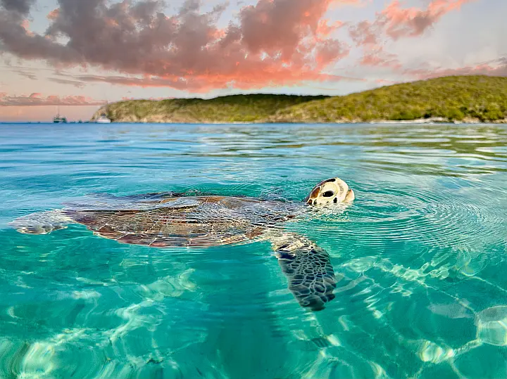 Itinerario per Antigua e Barbuda
