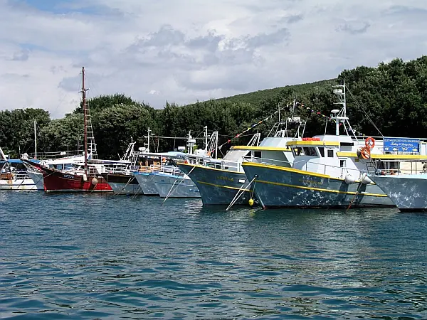 Marina di Punat